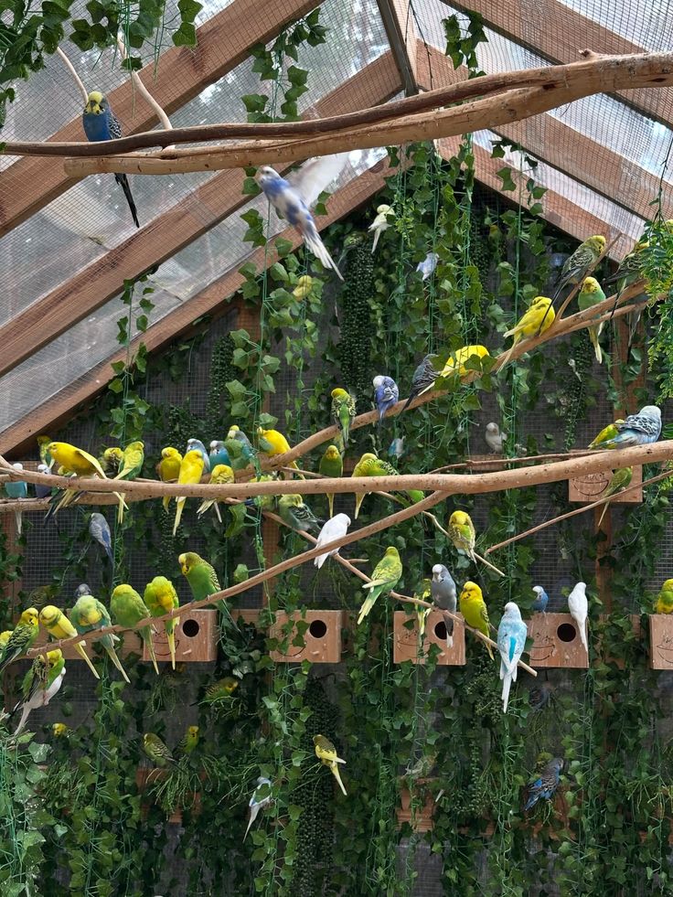 Ghost_Mark tweet media