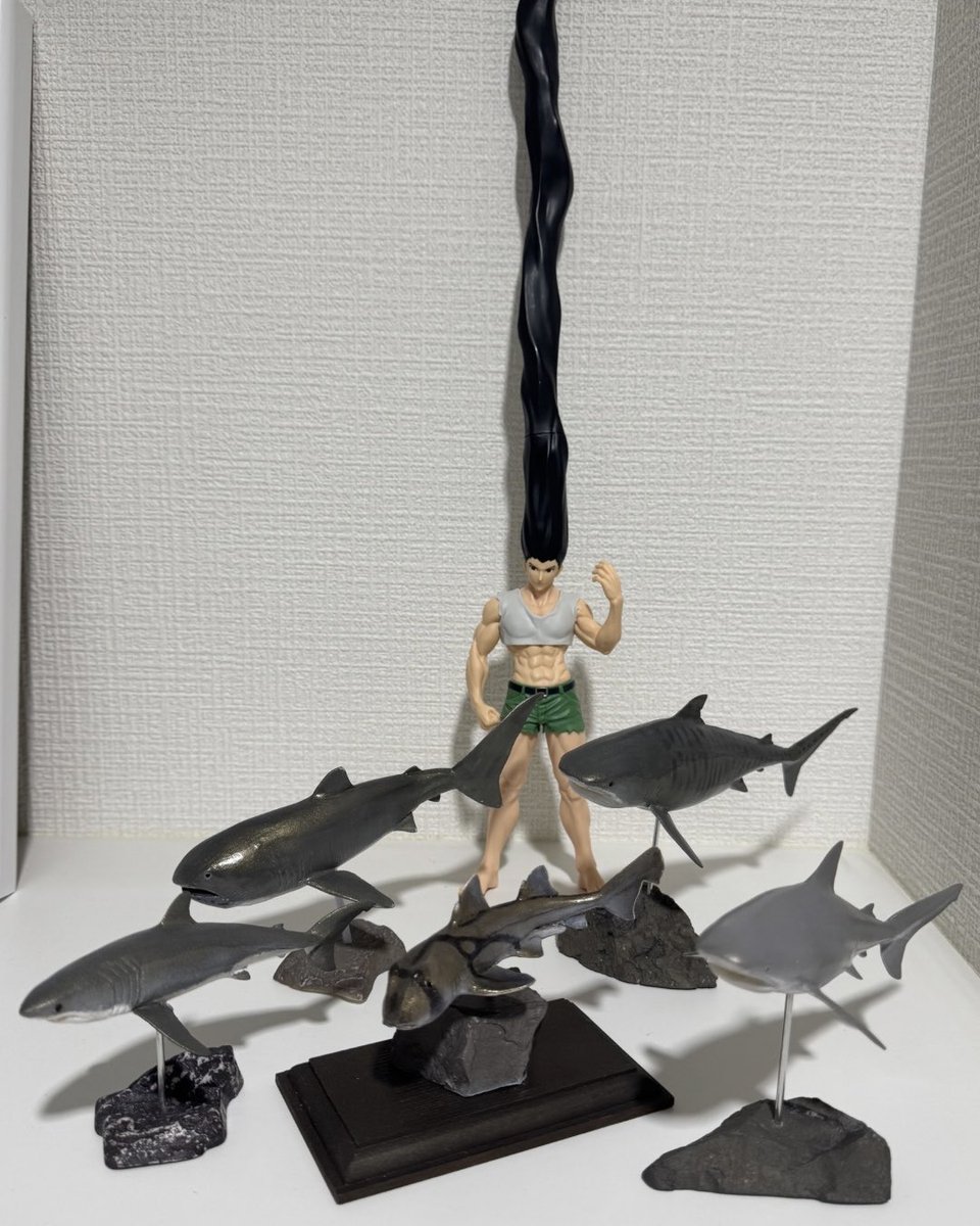 MEGALODONさんからこの2体をお迎え🦈  

やっぱり少し獰猛なタイプに惹かれやすいのかも…

2枚目は全種類