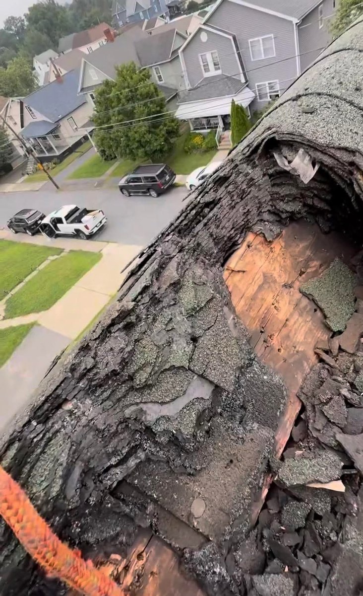 Landlord 🇺🇸 tweet media