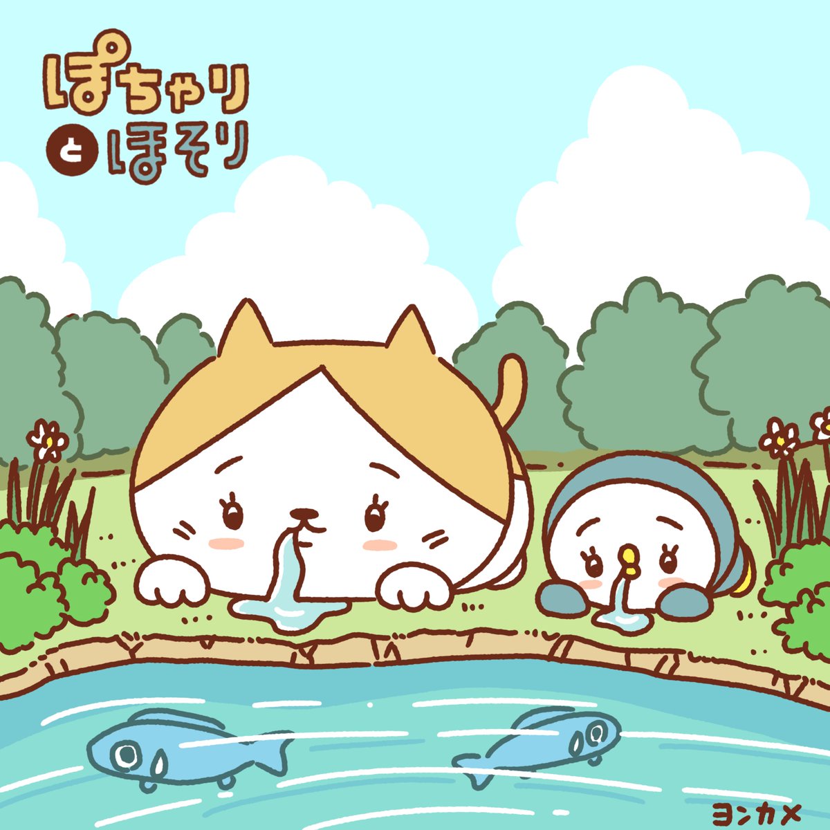 ヨンカメ tweet media