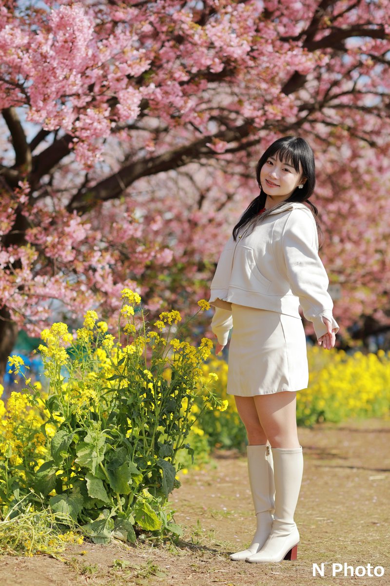 えぬ 写真垢 tweet media