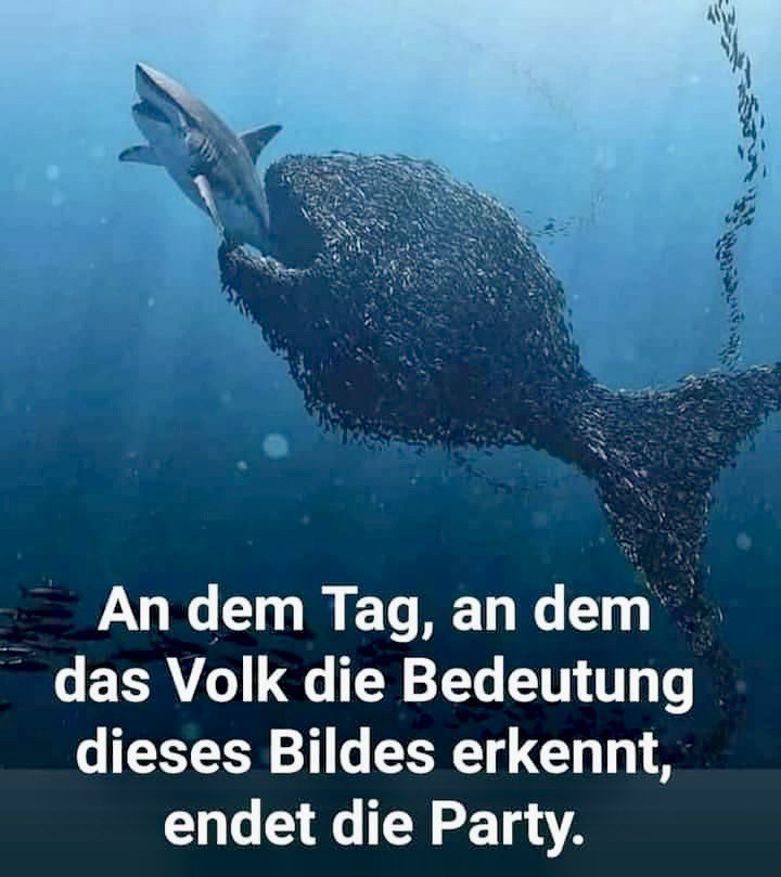 Poco Loco 🇩🇪🦅💙🦅🇩🇪 tweet media