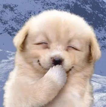 𝐂𝐀𝐌𝐏𝐒𝐈𝐒ꕤ tweet media