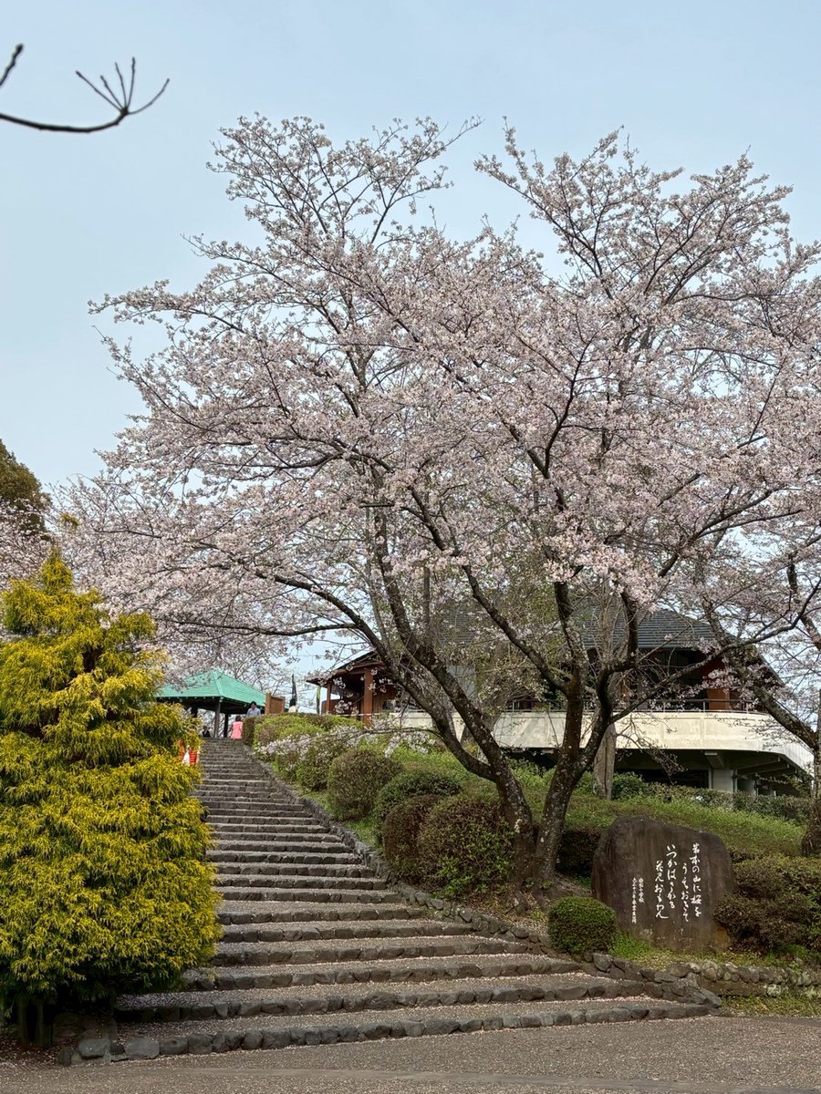 アガサ tweet media