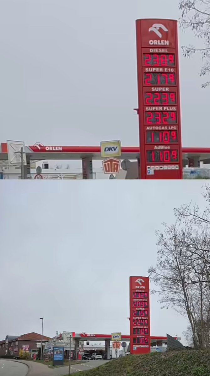 DIE LIBERTÄREN tweet media