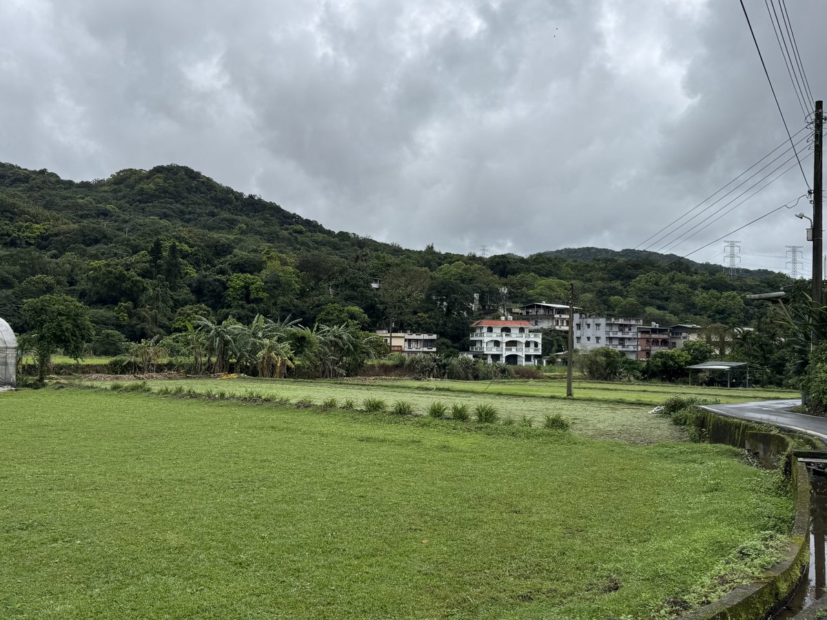 順調に出張の行程が進んでいます。
今日は初めて金山地区に行きましたが、
香港の新界の村みたいな光景が広がっていてちょっと感動しました🥹