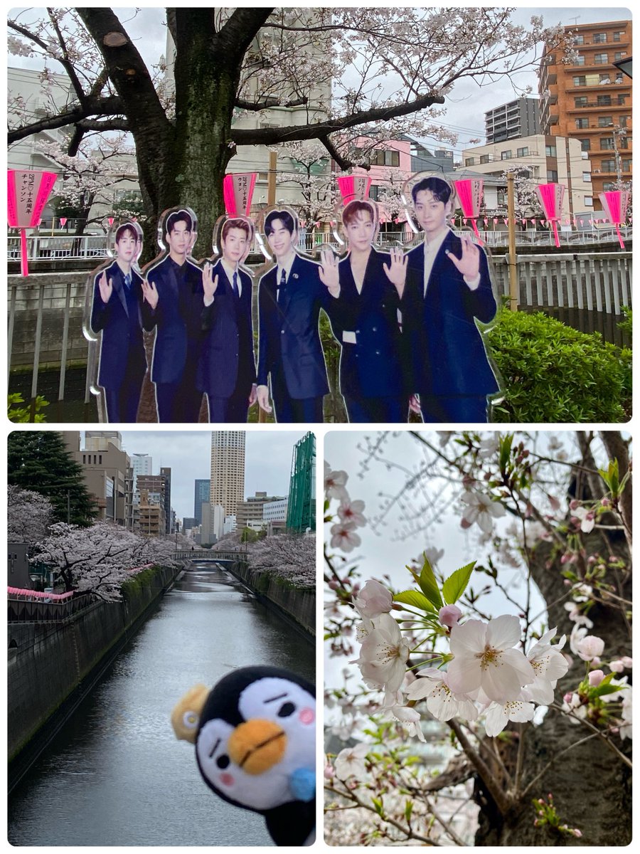 はいほー tweet media