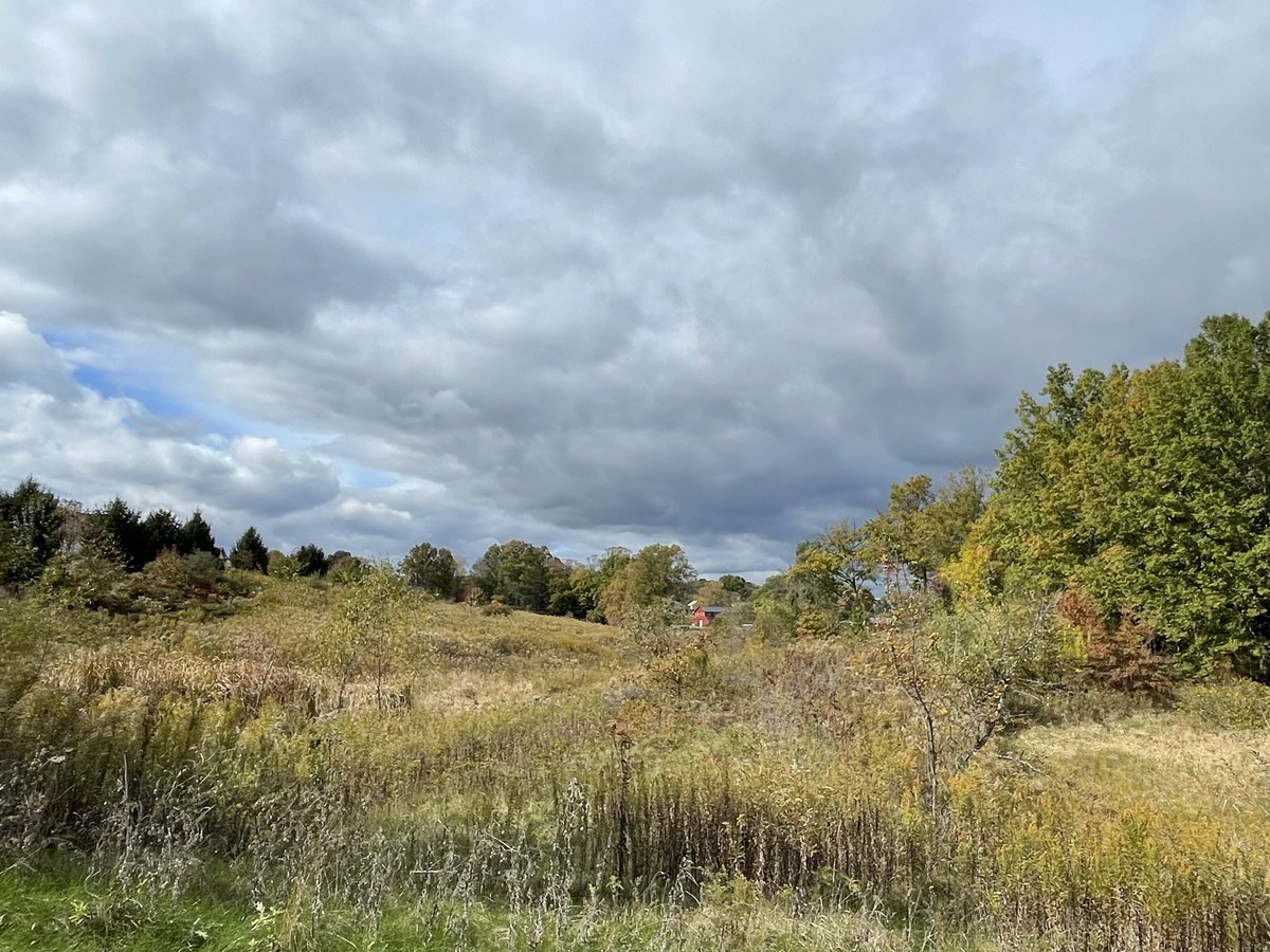 Amy Balog tweet media