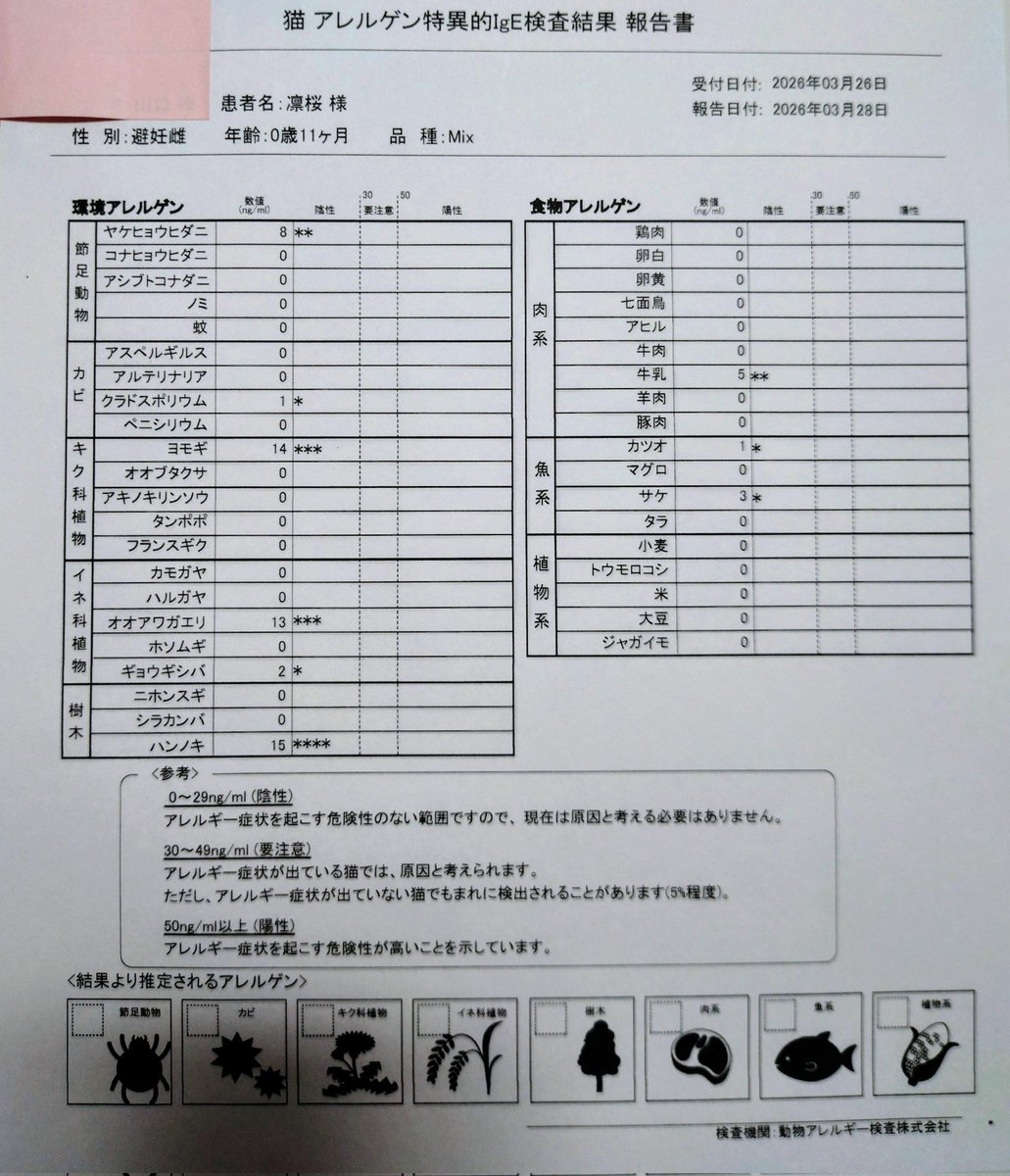 凛🐾お返事遅れがちで申し訳ありません🙇‍♀️💦 tweet media