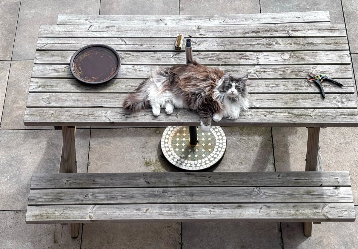 Keykisa2 tweet media