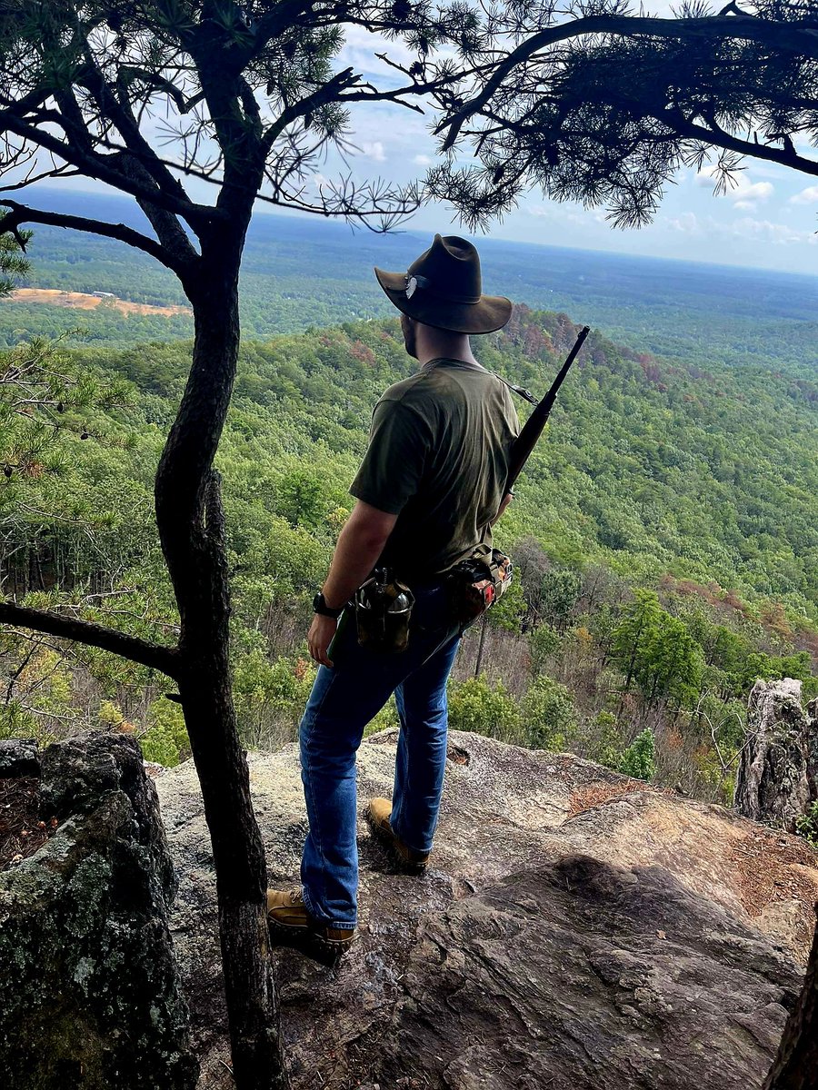 The Heavily Armed Homestead tweet media