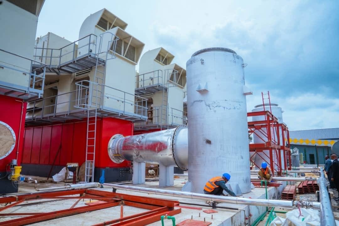 Thompson Smoothie 💚🫂 𝕏 tweet media