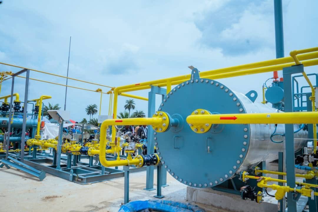 Thompson Smoothie 💚🫂 𝕏 tweet media