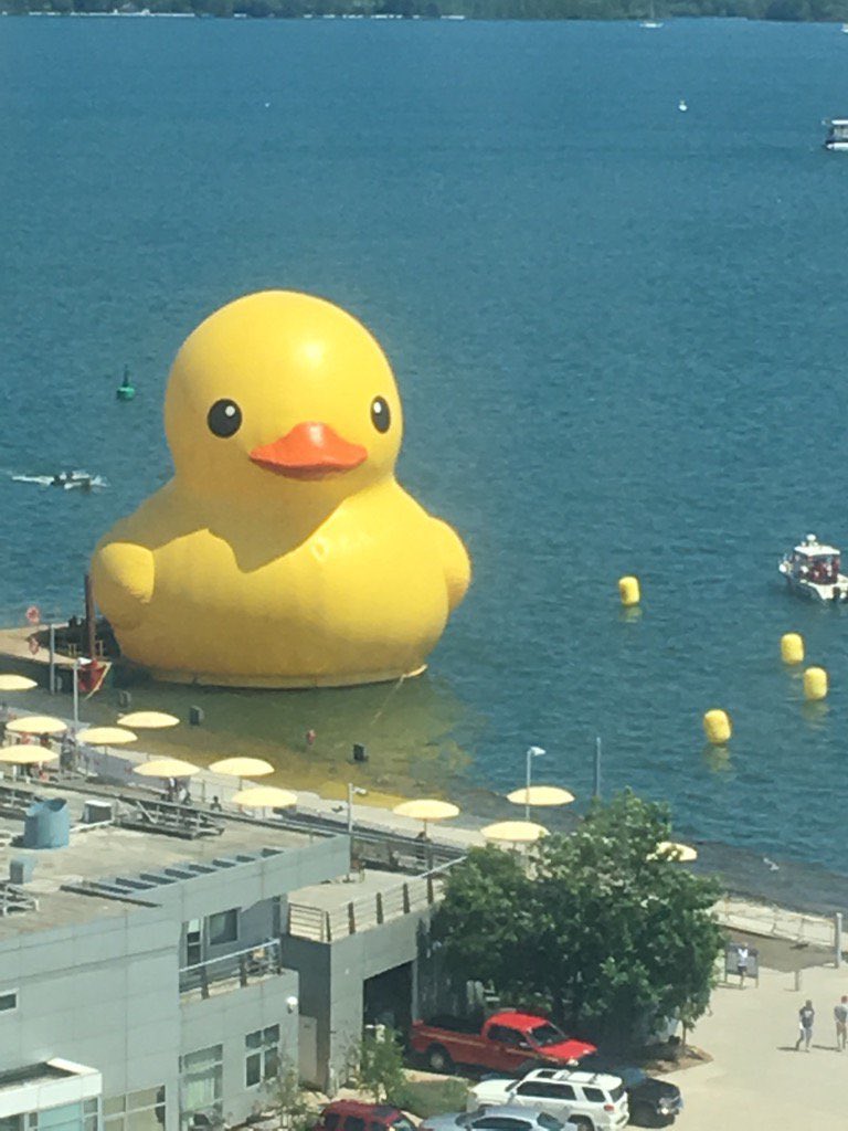 NoJetsTO's tweet image. BREAKING: Inflatable ducks now approved to land at the island airport. A spokesperson noted the ducks won’t affect new waterfront housing plans as they can just bounce off buildings should something go wrong. #topoli #canard