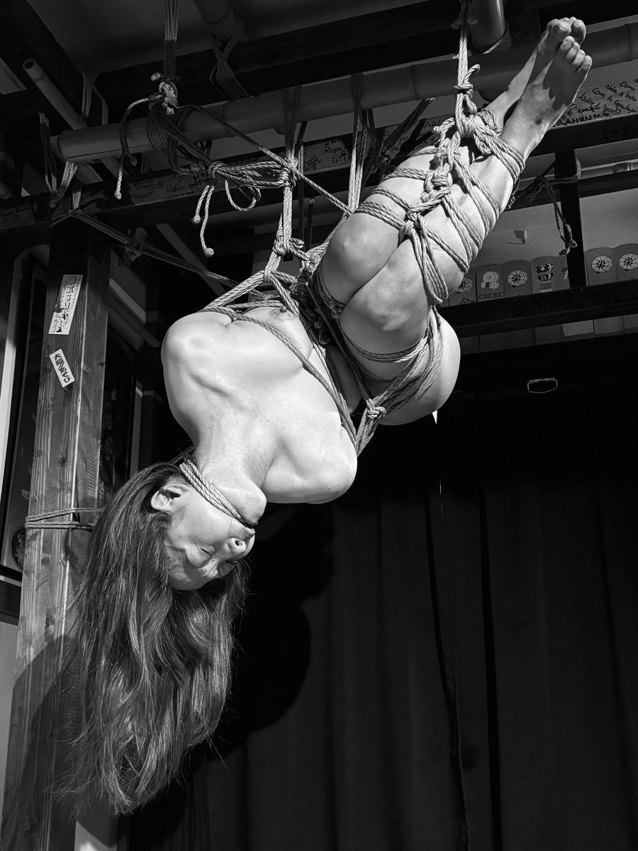 ハク - Haku - 緊縛・緊縛写真🇯🇵 tweet media