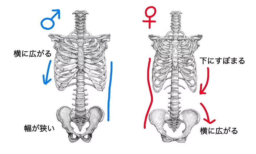 杏奈🌿🇯🇵🇹🇼🇰🇷🌿 tweet media