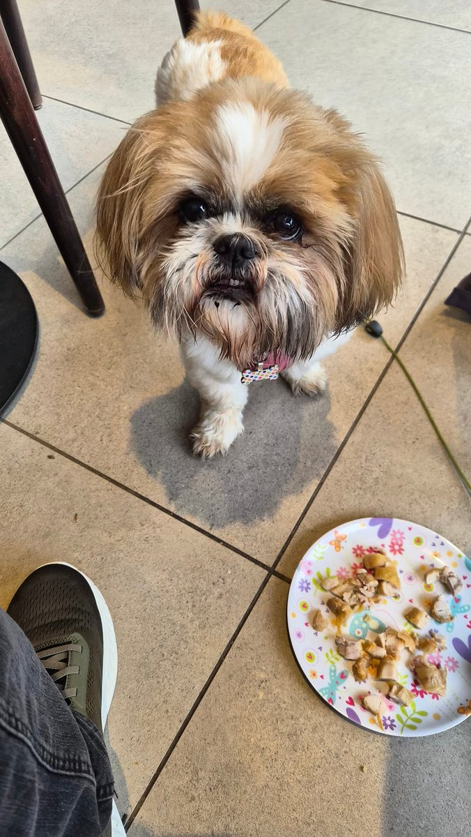 Bella🇬🇧 tweet media