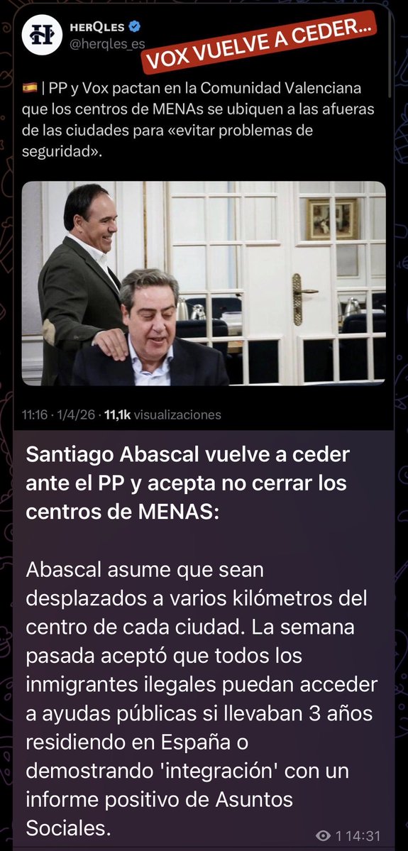 Alvise Pérez tweet media