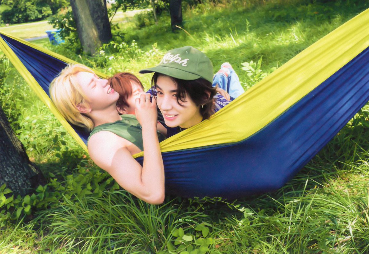 daily sungho tweet media