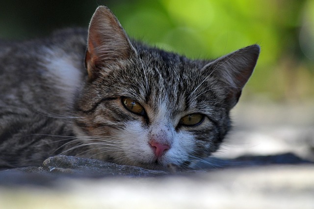 Masa Stylish @masabtc31 tweet media