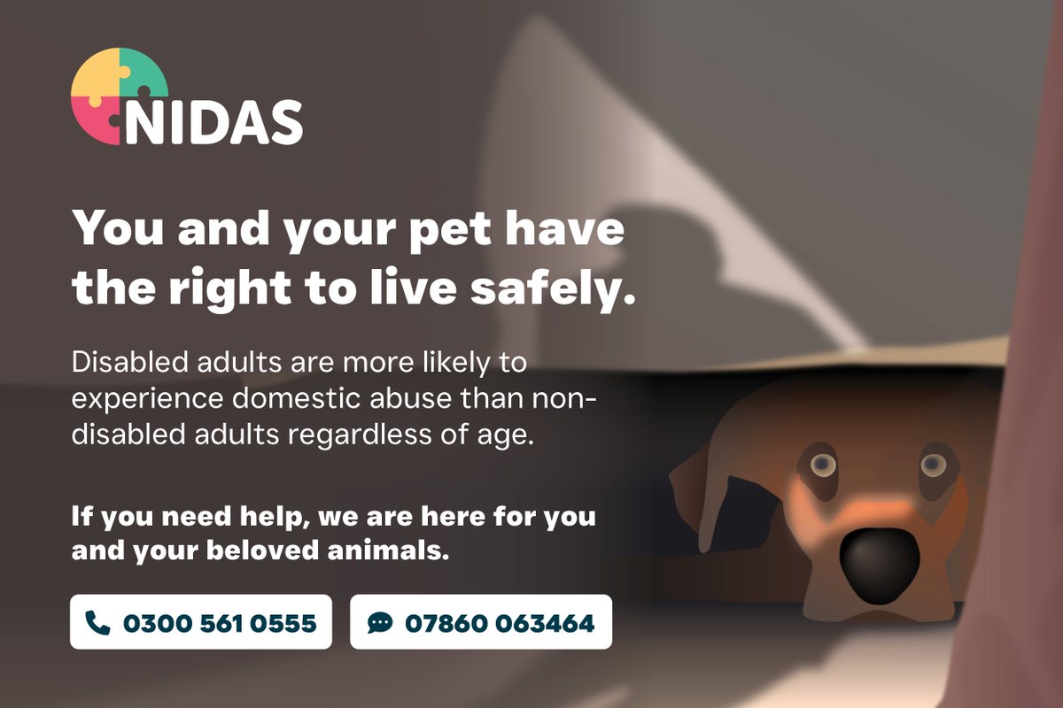 @NIDASNorfolk tweet media