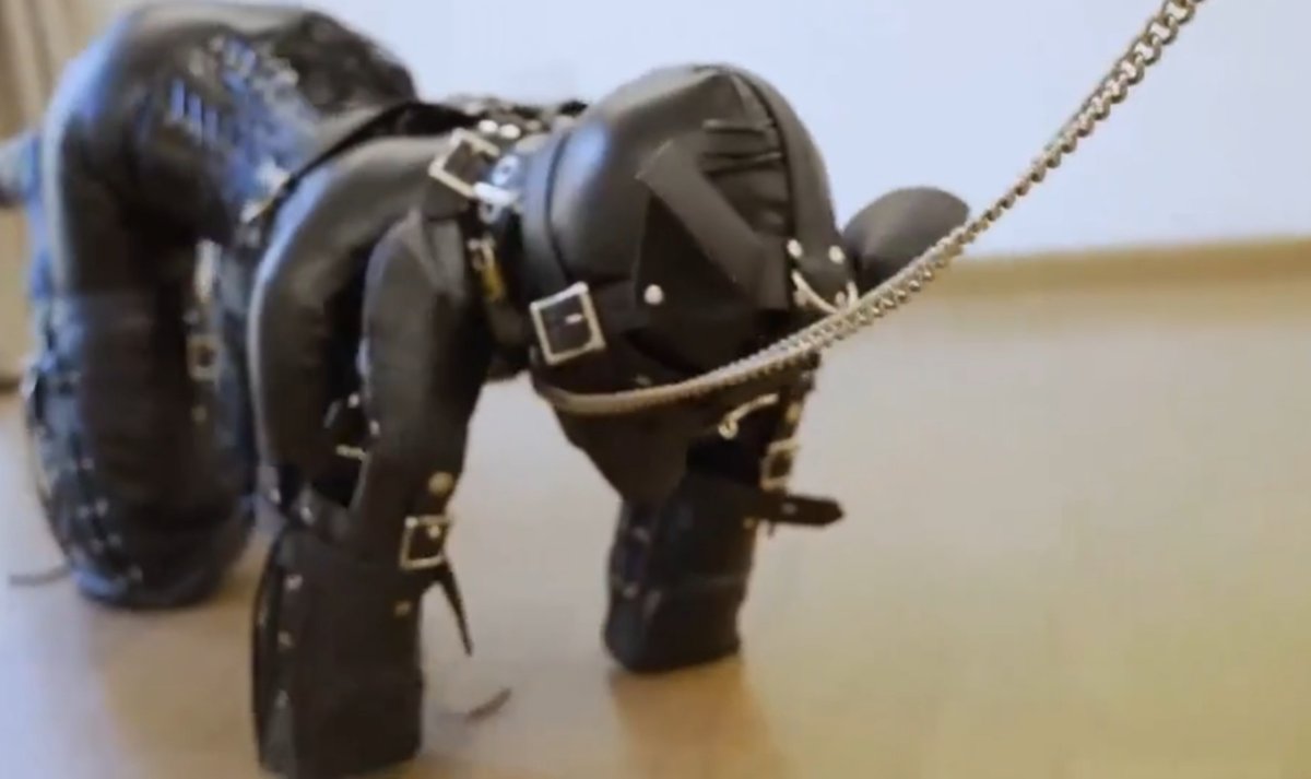 Yura💙 tweet media