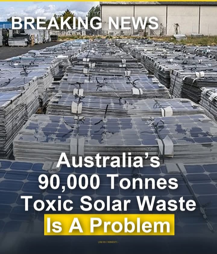 Australian Patriot. tweet media