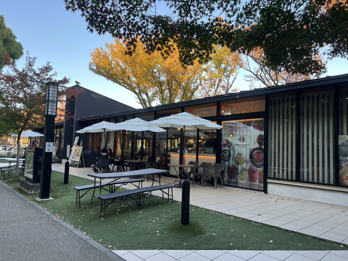 まりも tweet media