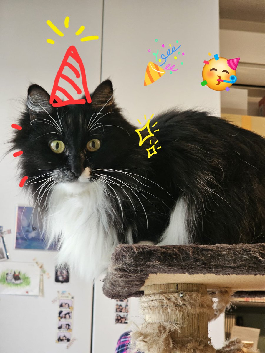 기라성⭐🌟✨ tweet media