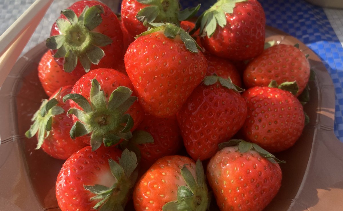 アヤナ tweet media