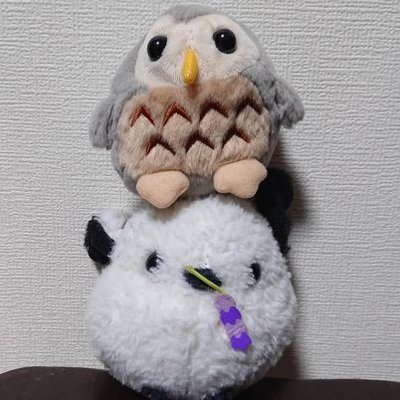 あいみ tweet media