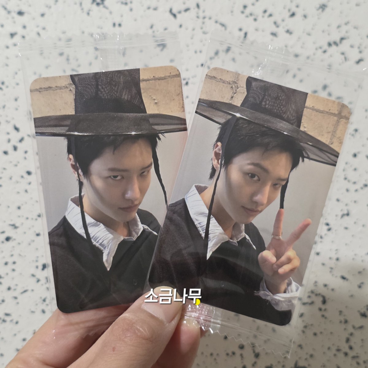 소금나무 tweet media