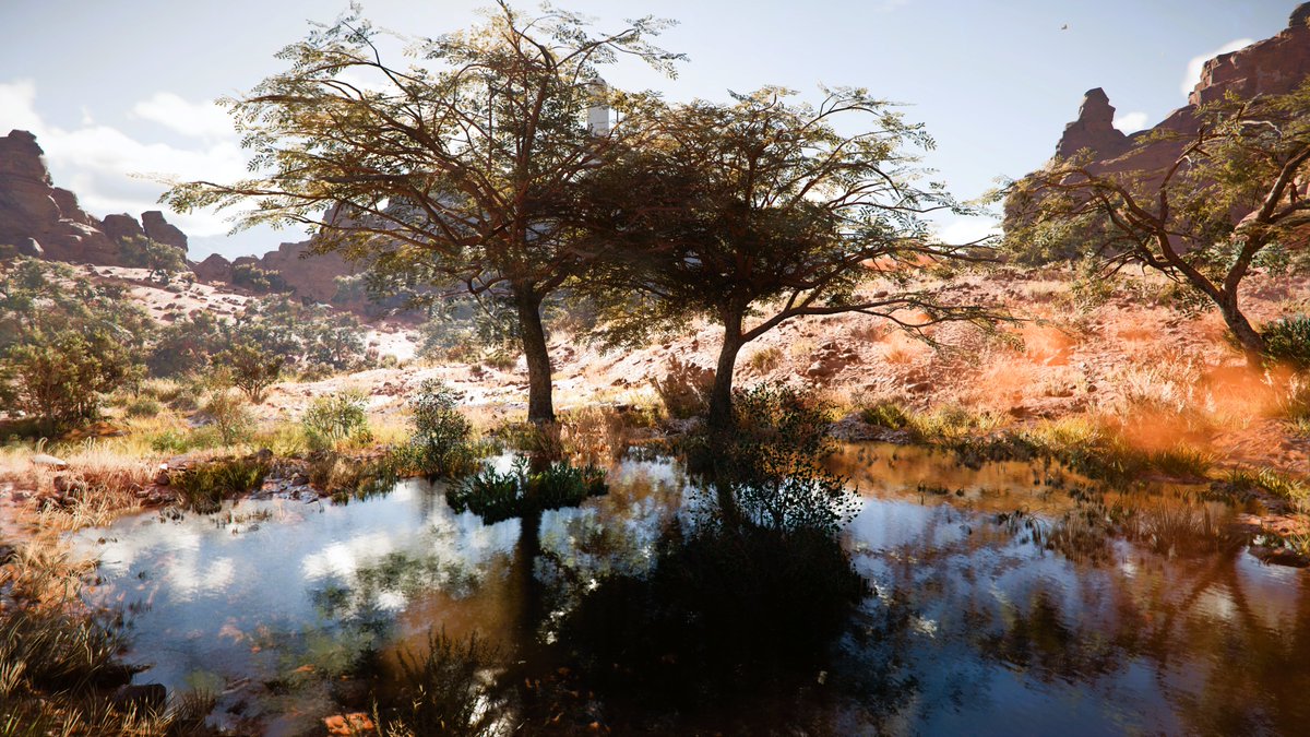 Vin Games 📸 tweet media