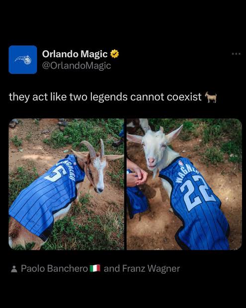 elbuffaloart (kick grandmas) tweet media