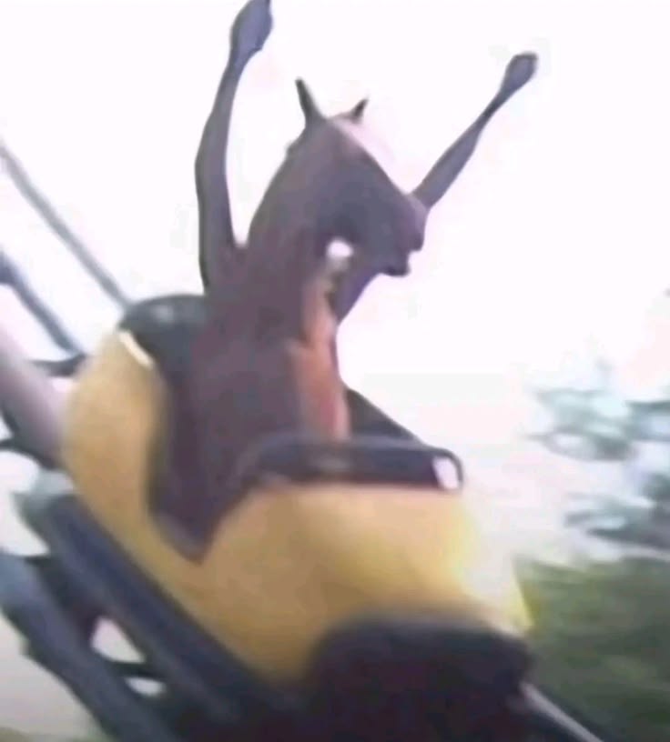 ★Ruby 👾♪ tweet media