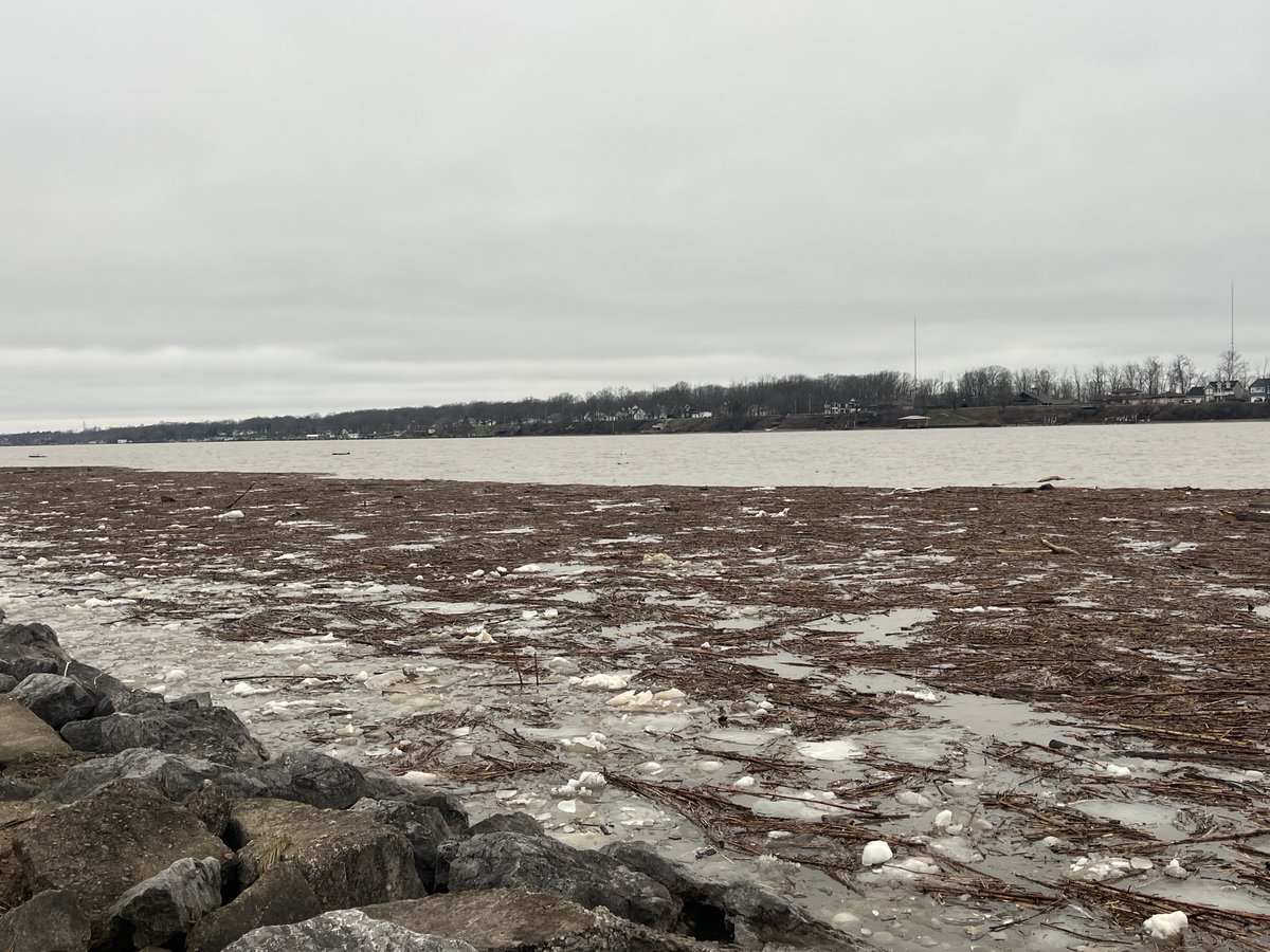 dpbuffalo's tweet photo. Intersting that last nights storms released all kinds of wood/debris/logs downriver ⁦@CityOfTonawanda⁩ niagara river https://t.co/6E3uiPbkht