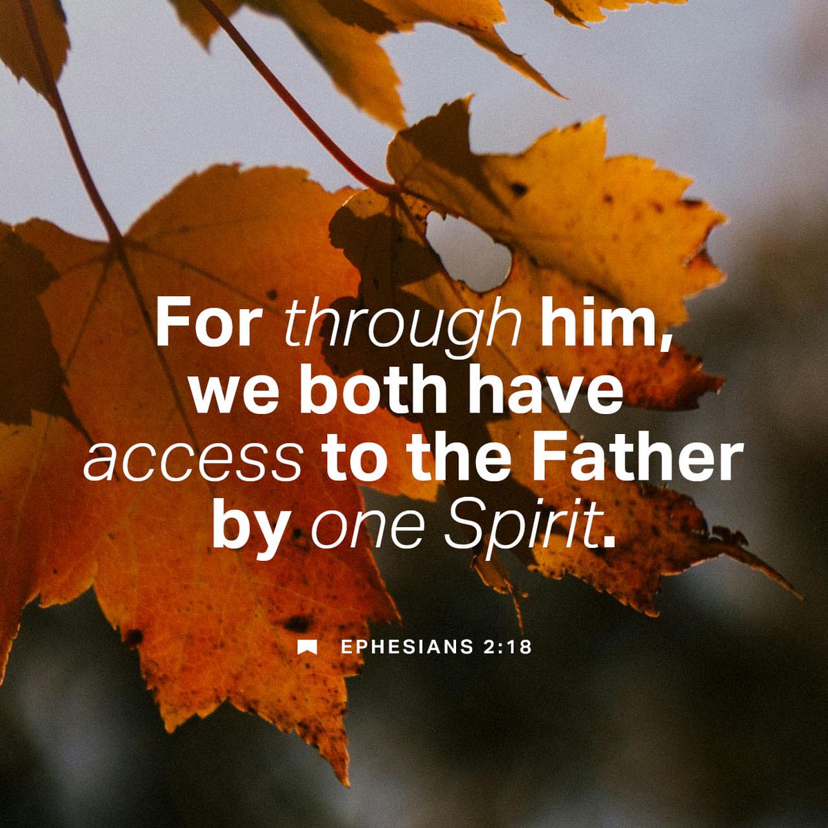 SherylGapuz08's tweet image. #Bible
#BibleStudy
#BibleVerses
#BookOfEphesians

Ephesians 2:1-22 NKJV

BY GRACE THROUGH FAITH
Ephesians 2:1-10 NKJV
[1] And you He made alive, who were dead in trespasses and sins, 

[2] in which you once walked according to the course of this world, according to the prince of