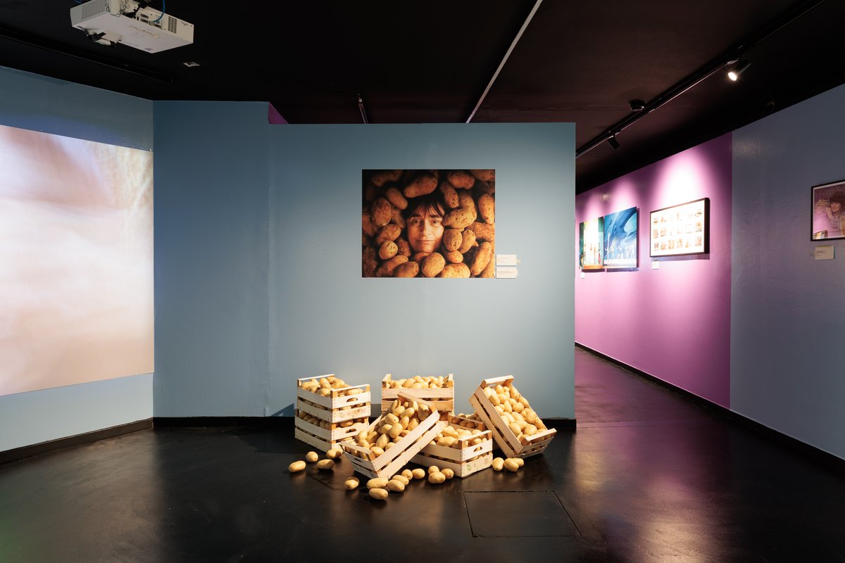 Bologna Welcome tweet media