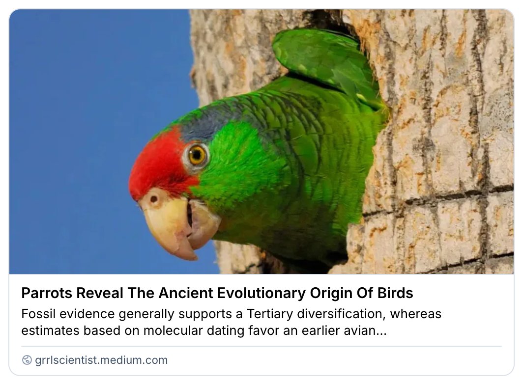 GrrlScientist's tweet image. Parrots Reveal The Ancient Evolutionary Origin Of Birds

#SciComm by @GrrlScientist 

#Evolution #birds #ornithology grrlscientist.medium.com/parrots-reveal…