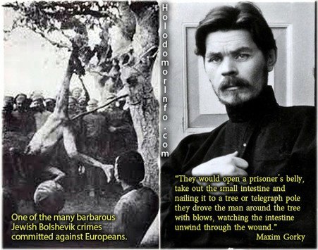 LOUIS CYFER tweet media