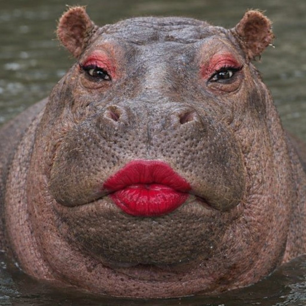 IG: @Phoenixx_King tweet media