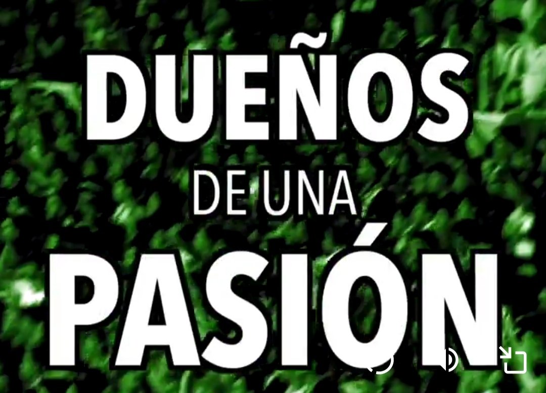 Concanos OFICIAL tweet media