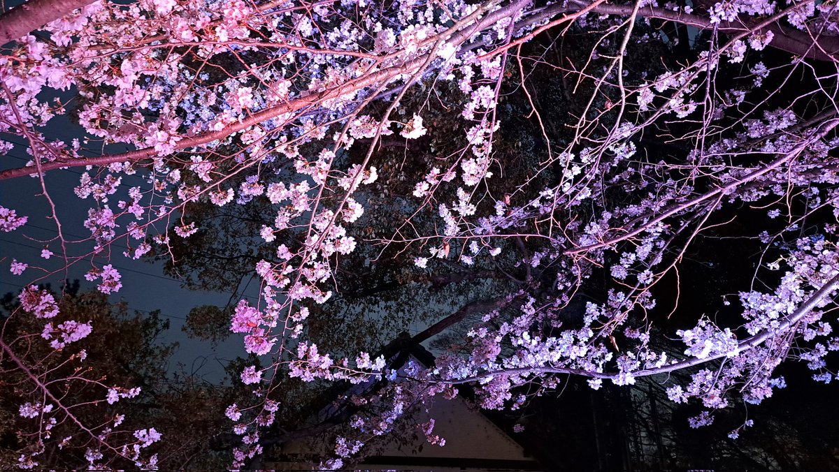 ็ดซไนๅด๐ฐ tweet media