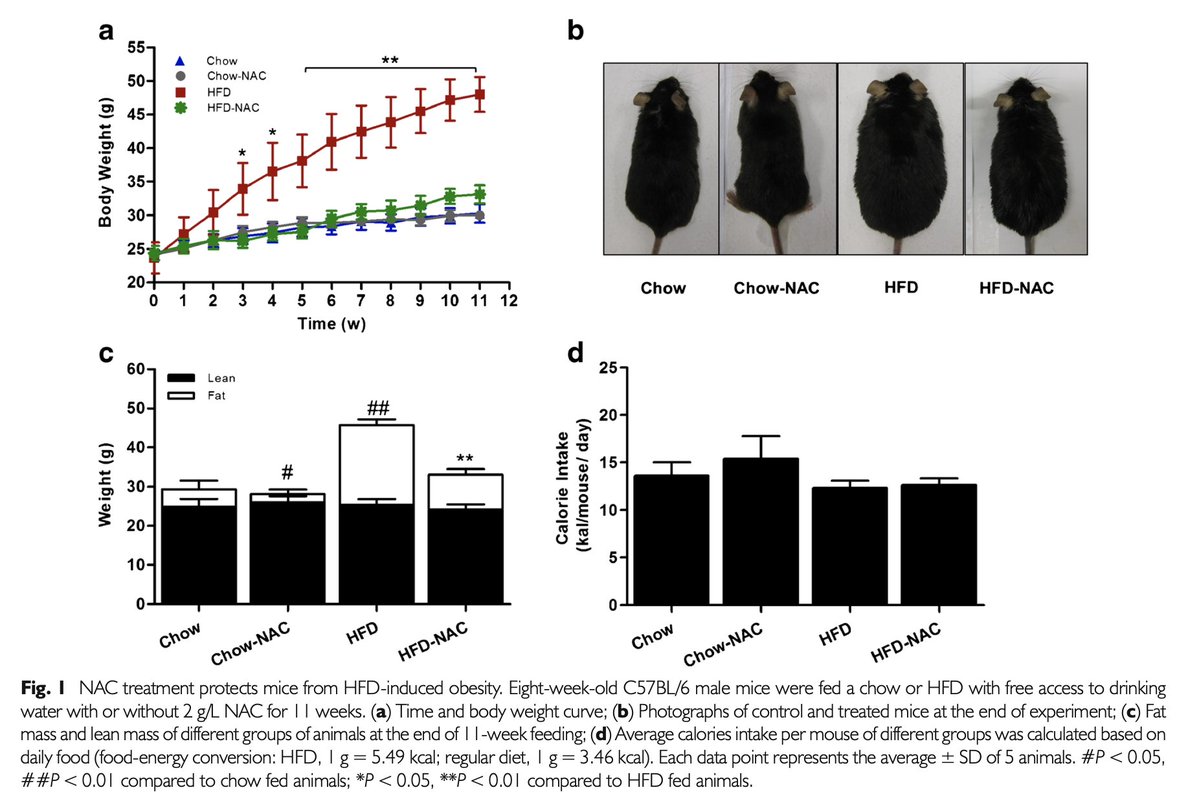Dalton (Analyze & Optimize) tweet media