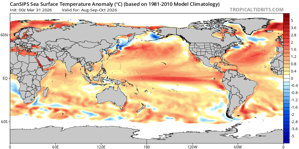Danilo Evangelista tweet media