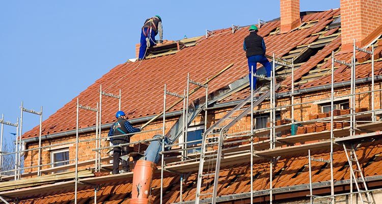 ℂ𝕠𝕞𝕞𝕒𝕟𝕕𝕖𝕣𝕋𝕠𝕣𝕖𝕟𝕟 ✨ tweet media