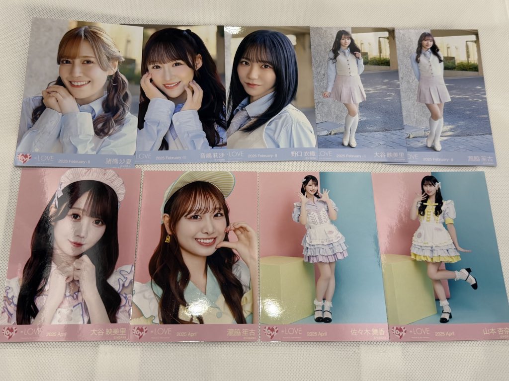 🩵🐾 tweet media