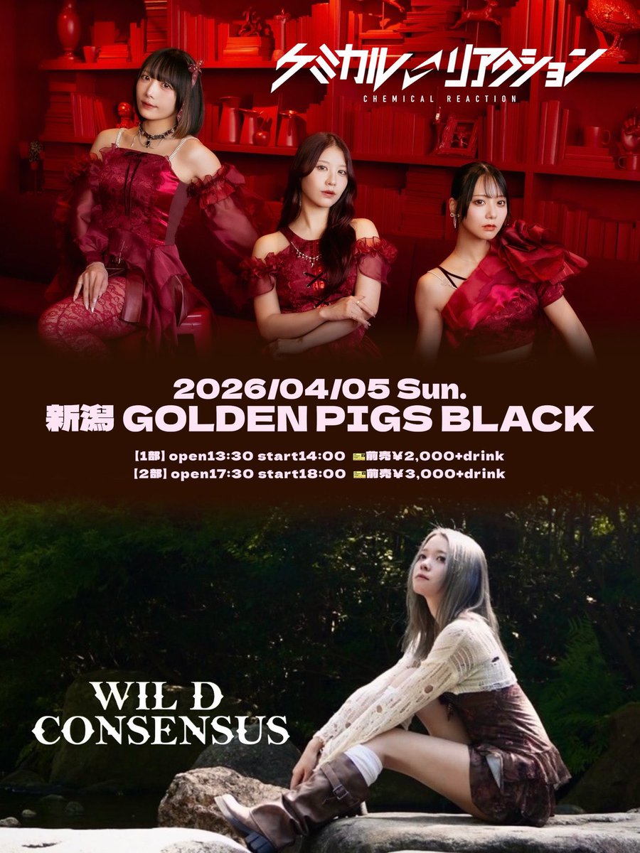 WIL･D･CONSENSUS tweet media