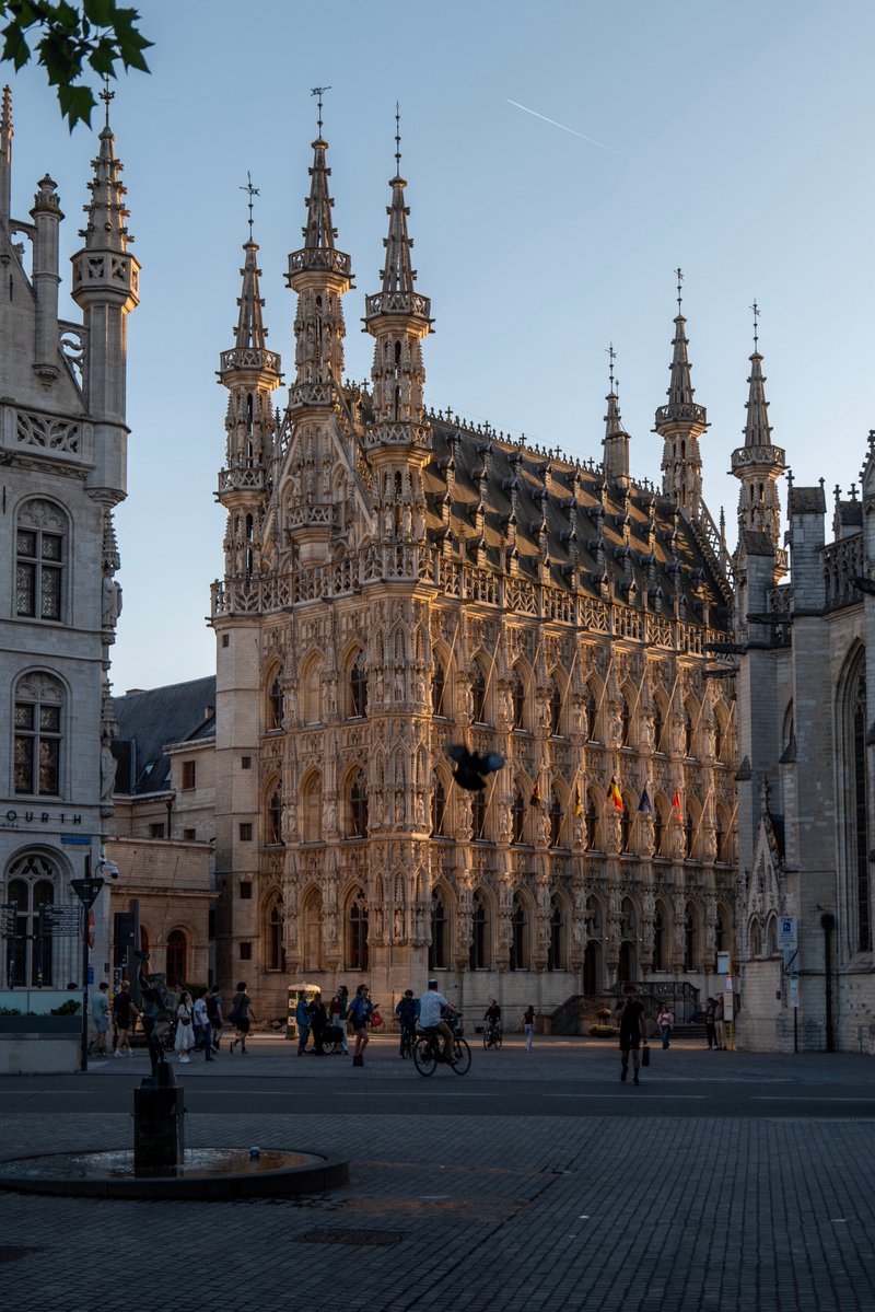 Humble Flow tweet media