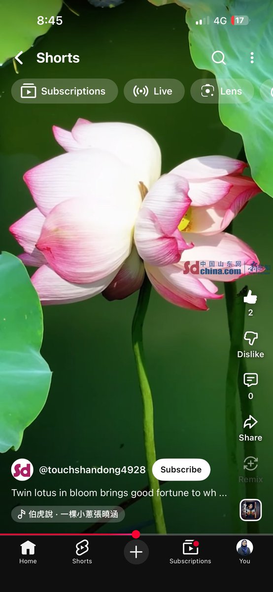 liya⁷ ⟭⟬🍎🪷 tweet media